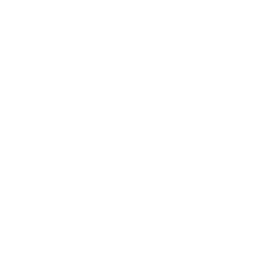 Matt Nemetz